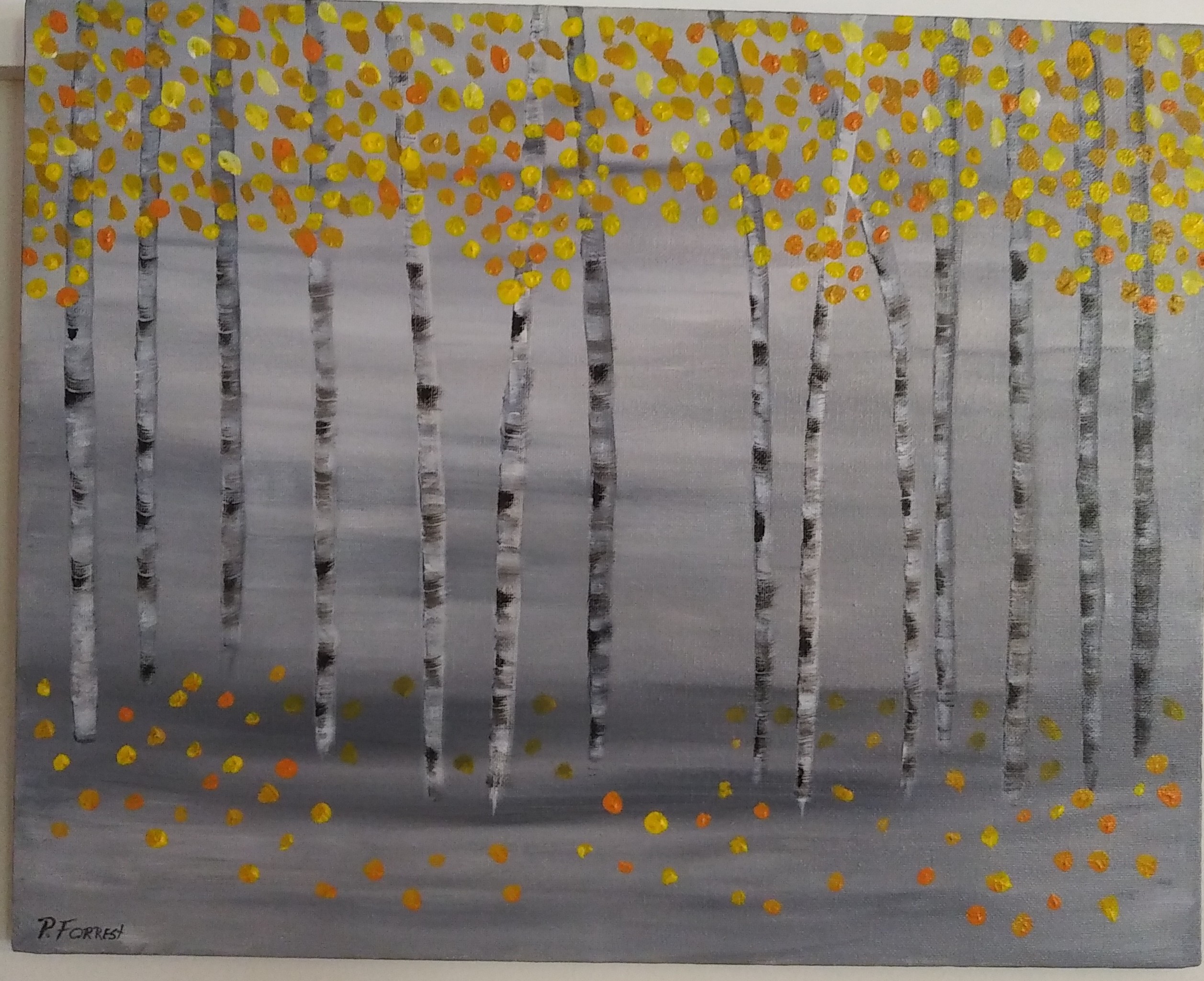 Silver Birch Trees – $49