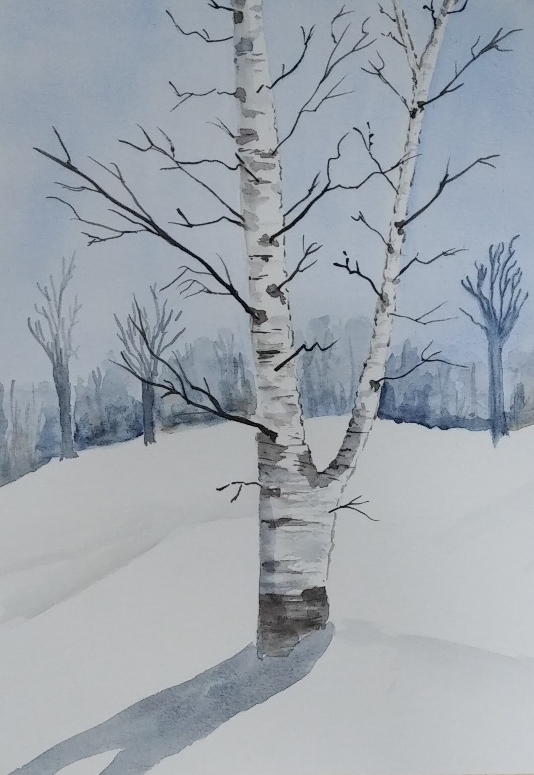 Winter Birch Tree – DONATED