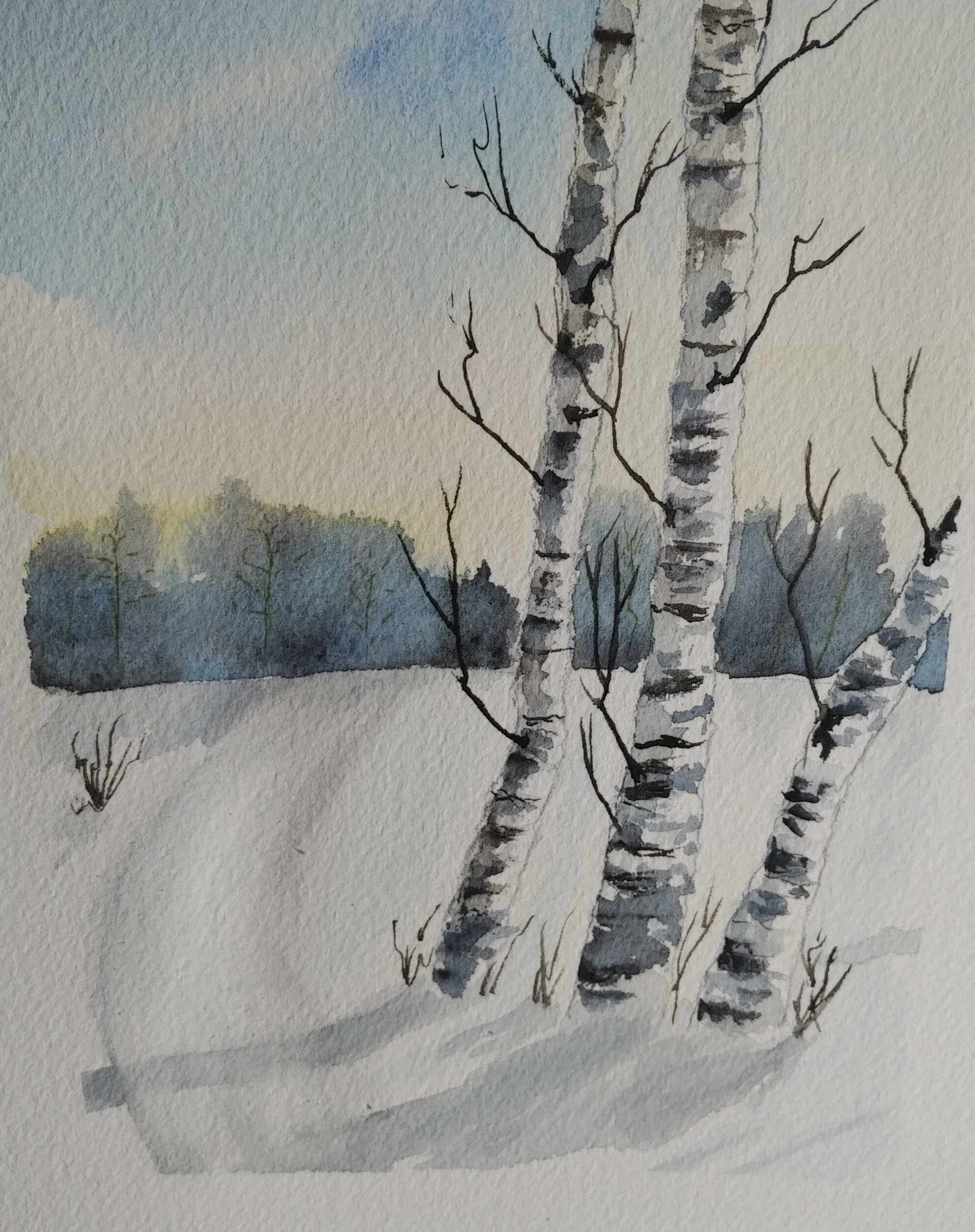 Trio of Birch Trees – SOLD