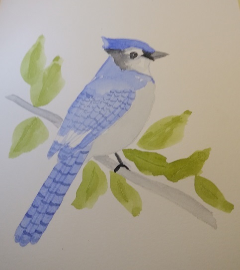 Blue Jay – SOLD