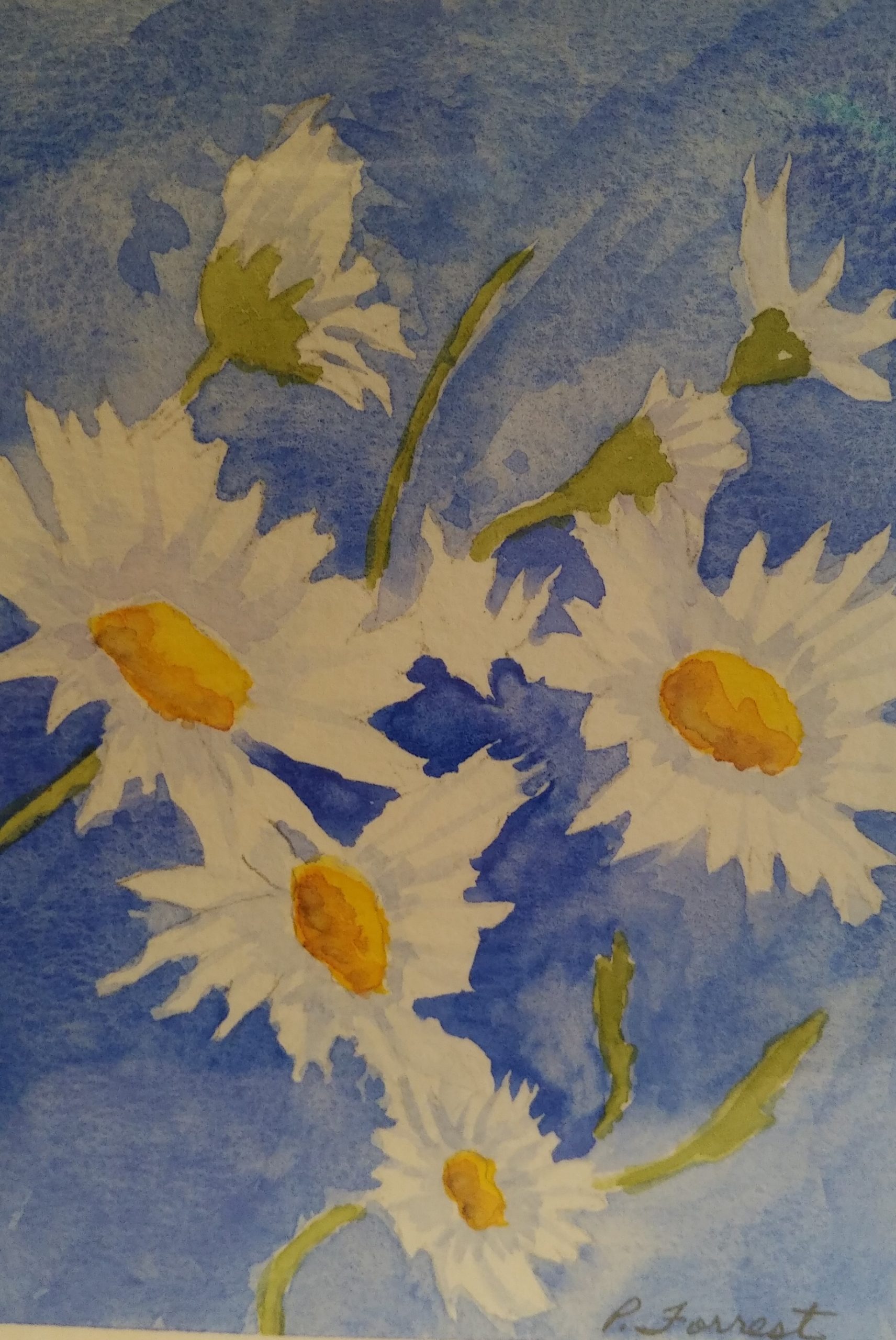 Daisies – SOLD