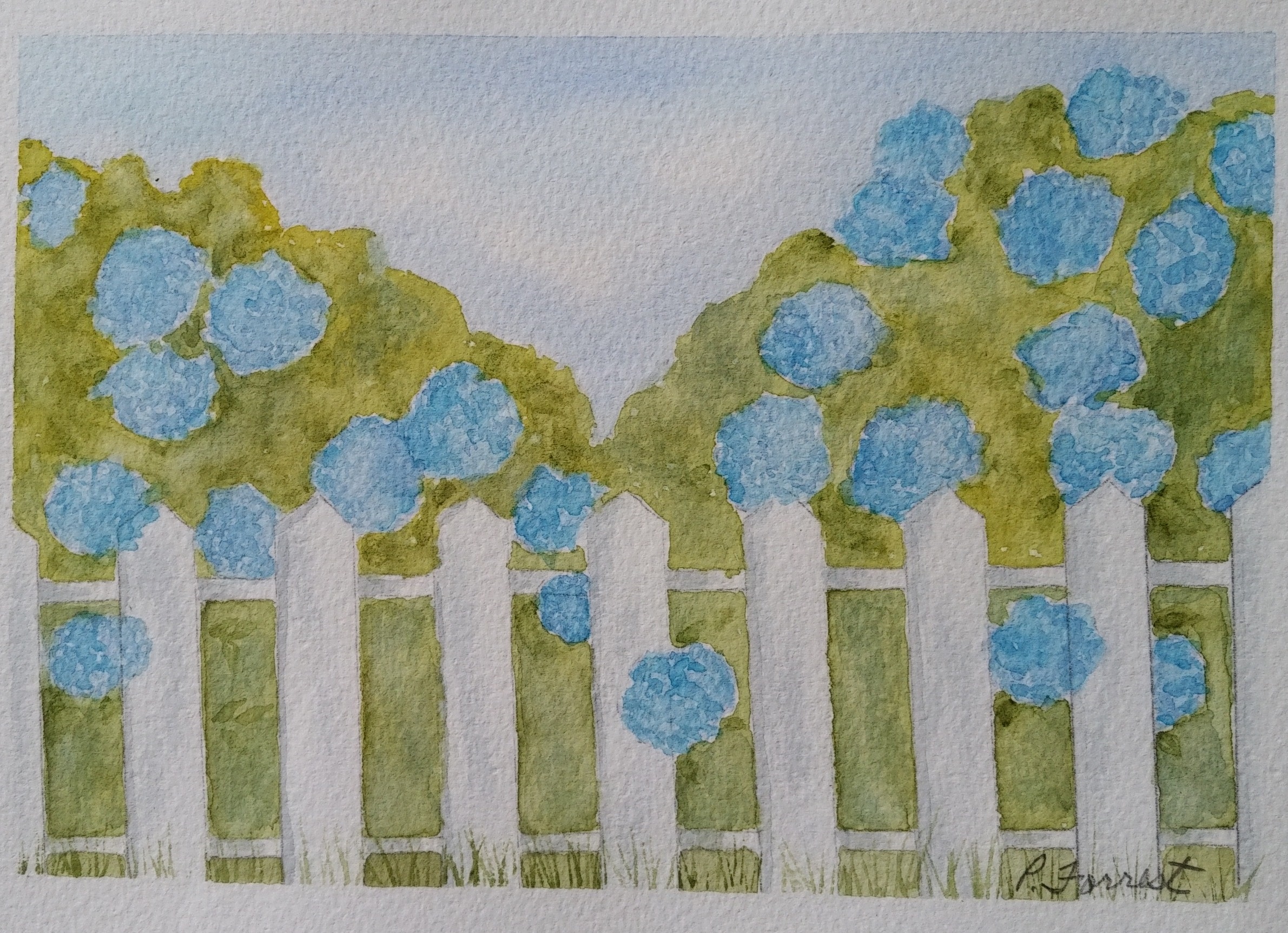 Picket Fence & Hydrangeas – SOLD