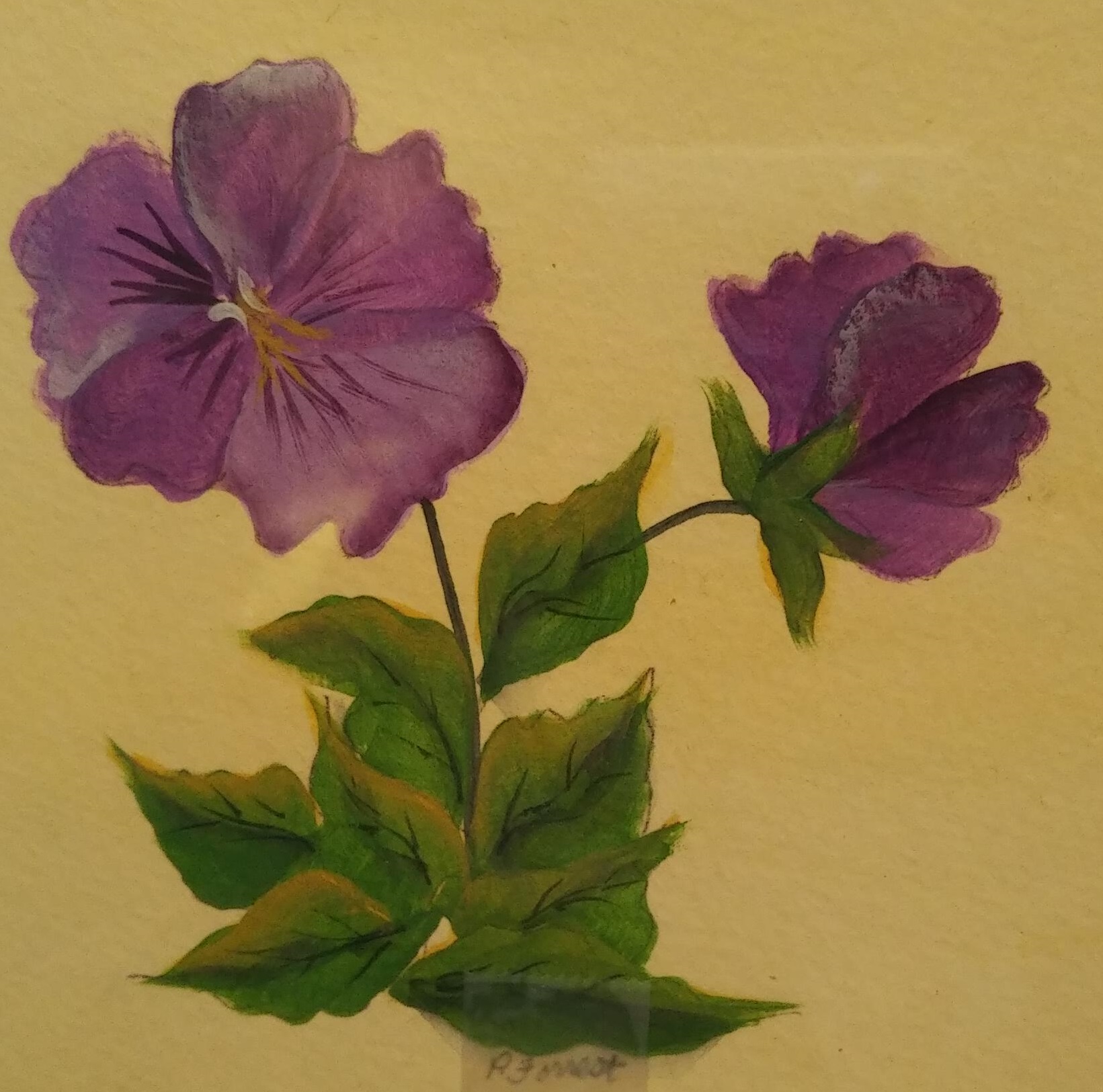 Purple Pansy – SOLD