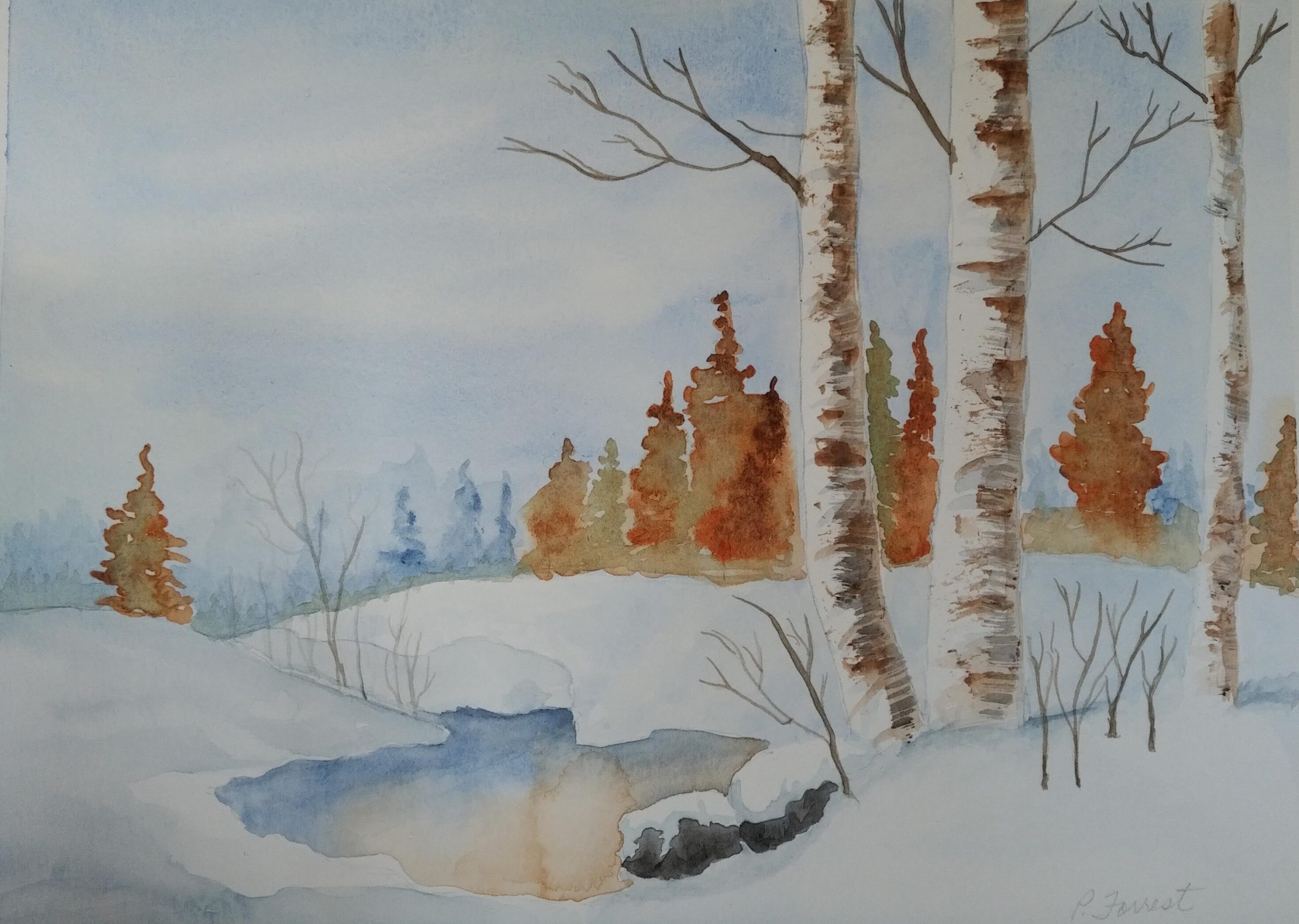 Winter Birch Scene – Private Collection