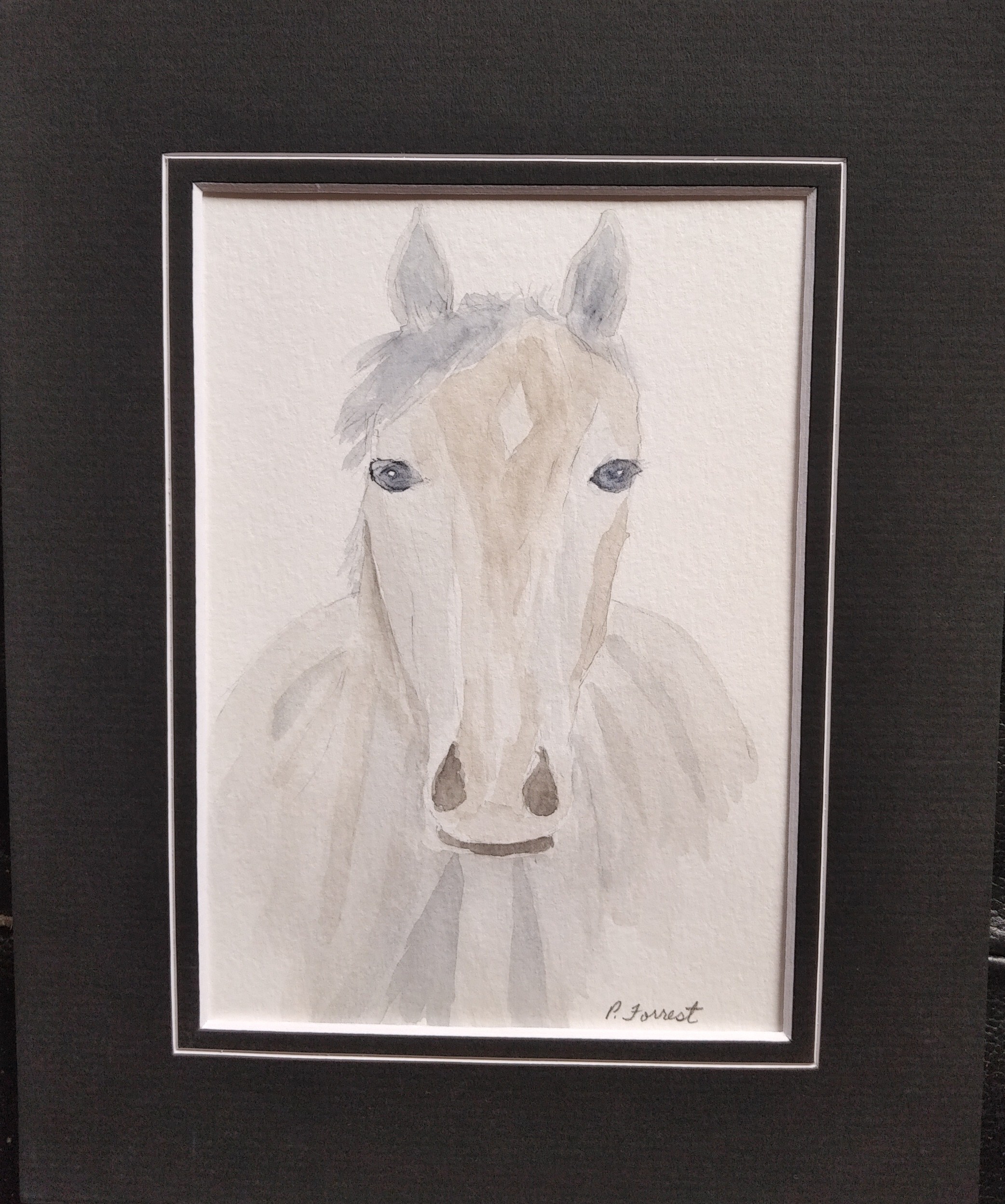 Nobel Horse – $20