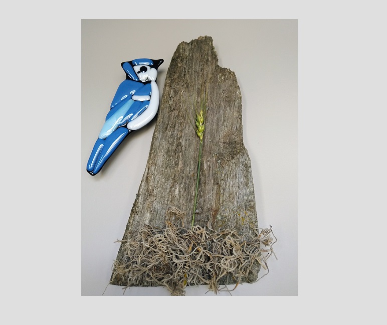 Bluejay on Barnboard w/Moss – SOLD