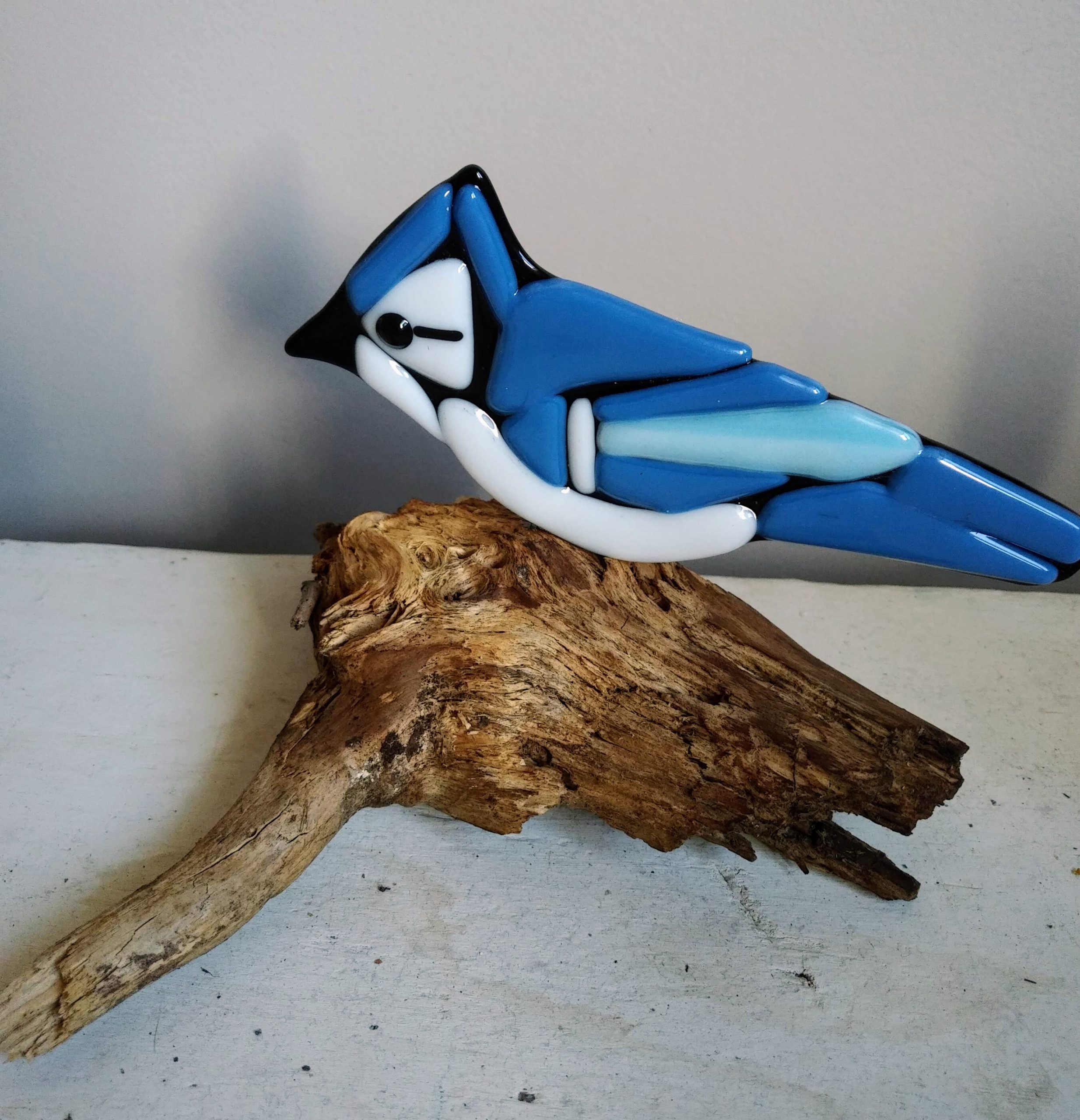 Bluejay on Driftwood – SOLD