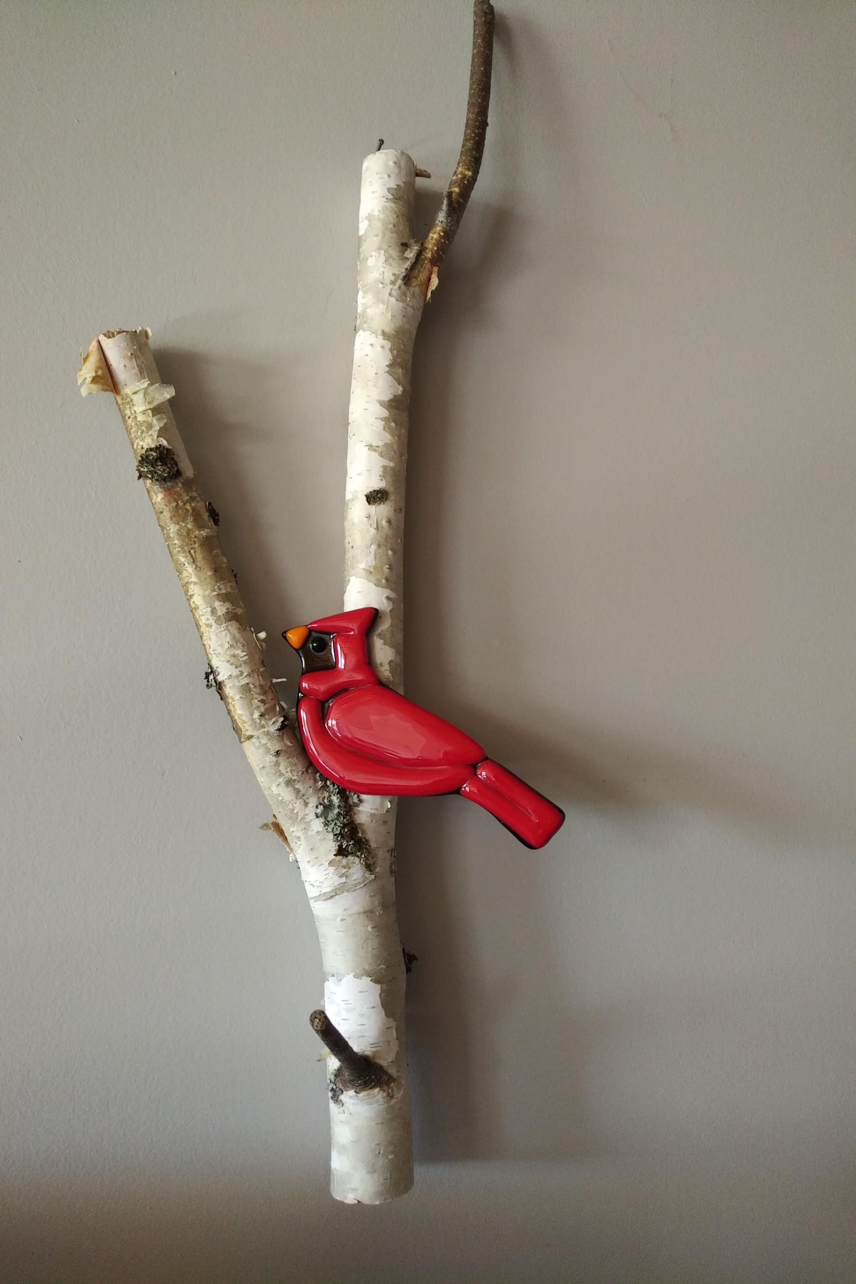 Cardinal on Birch – SOLD