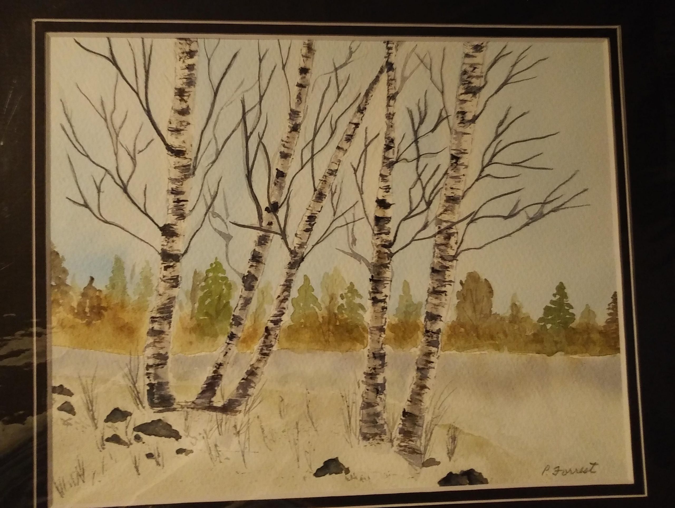 Birch Trees (Matted) #1 –