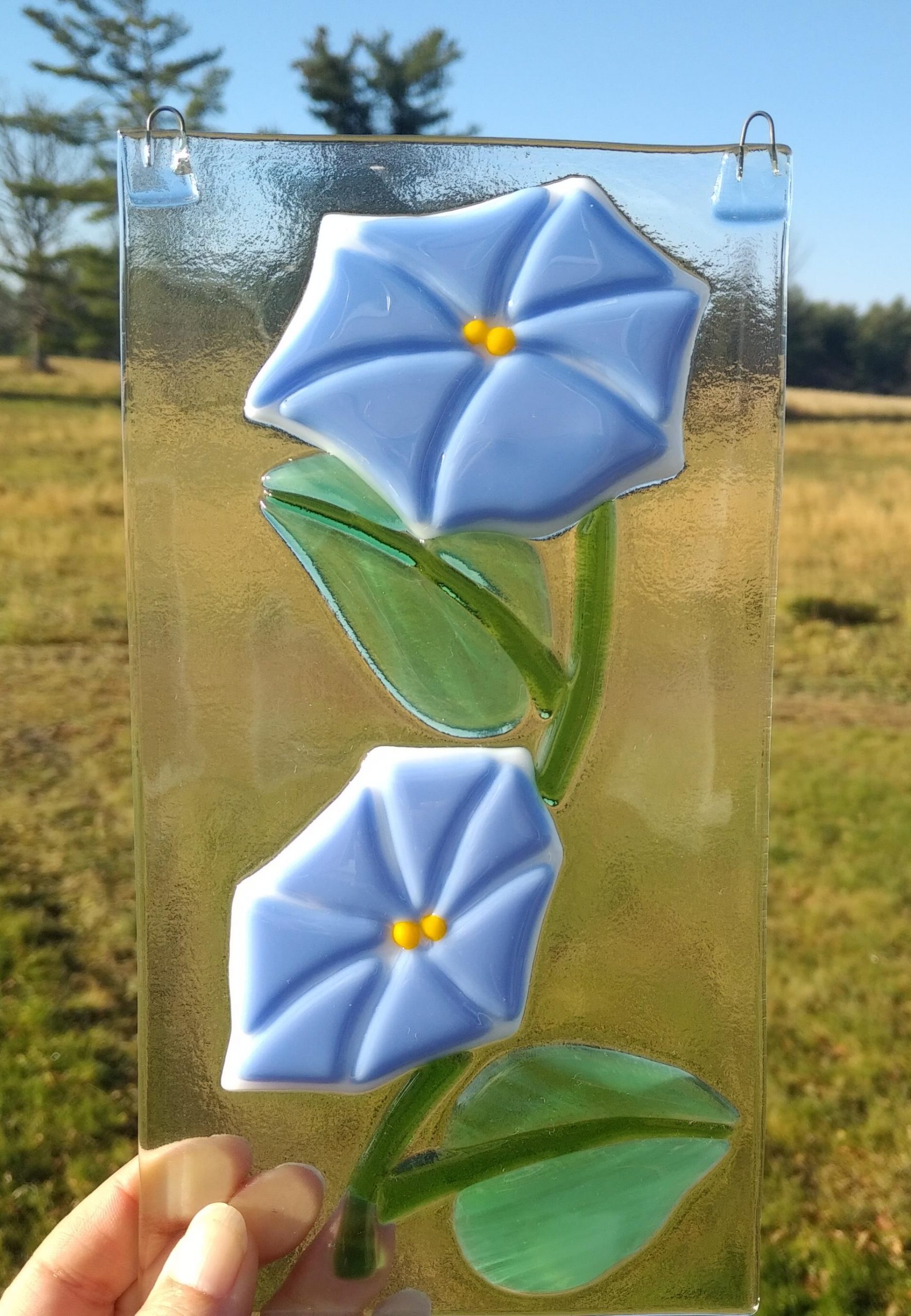 Morning Glory – $65