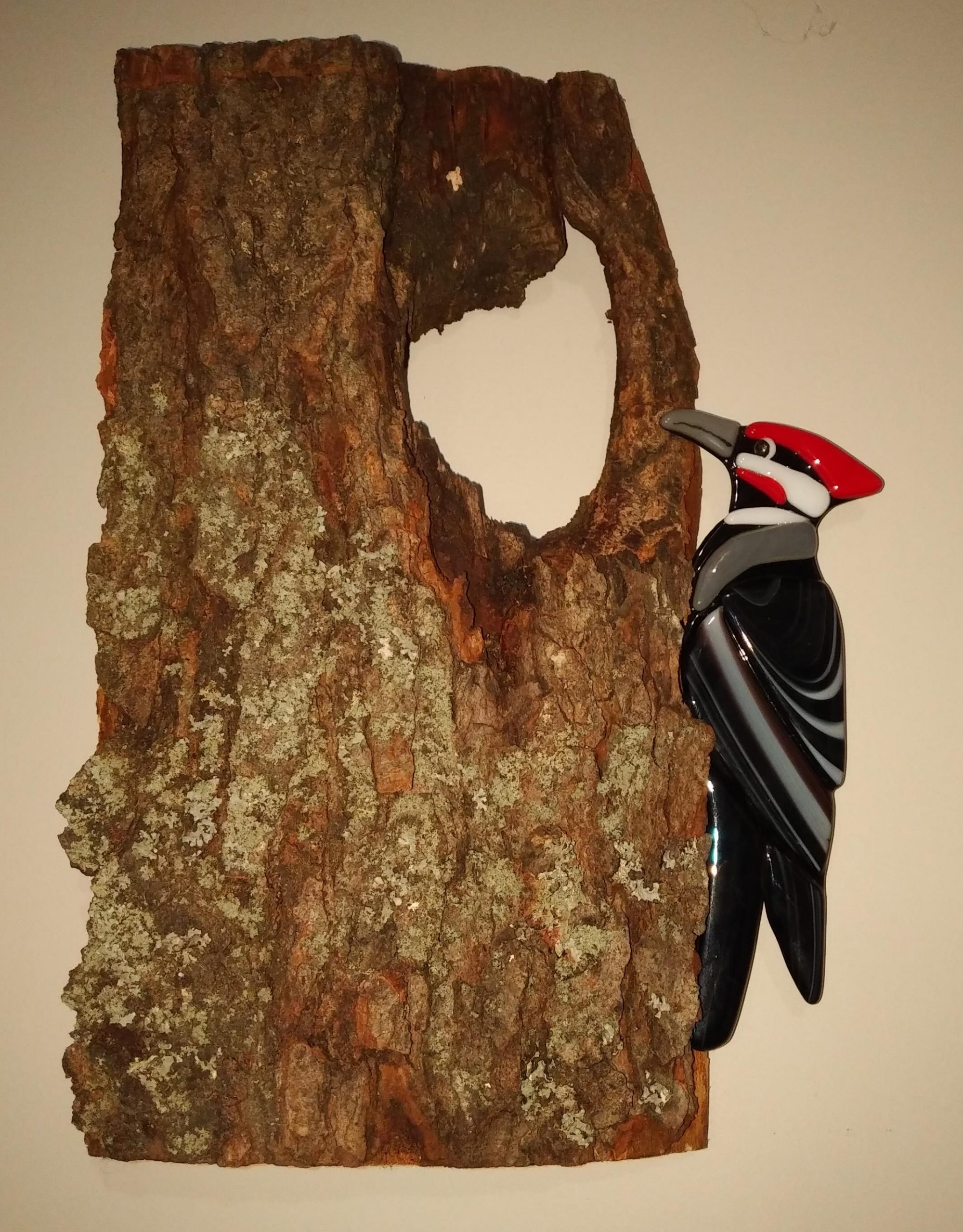 Pileated Woodpecker on Cherry Branch – SOLD