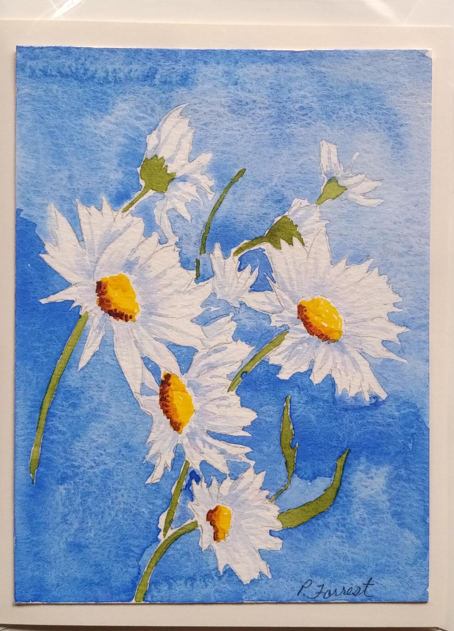 Daisies – SOLD