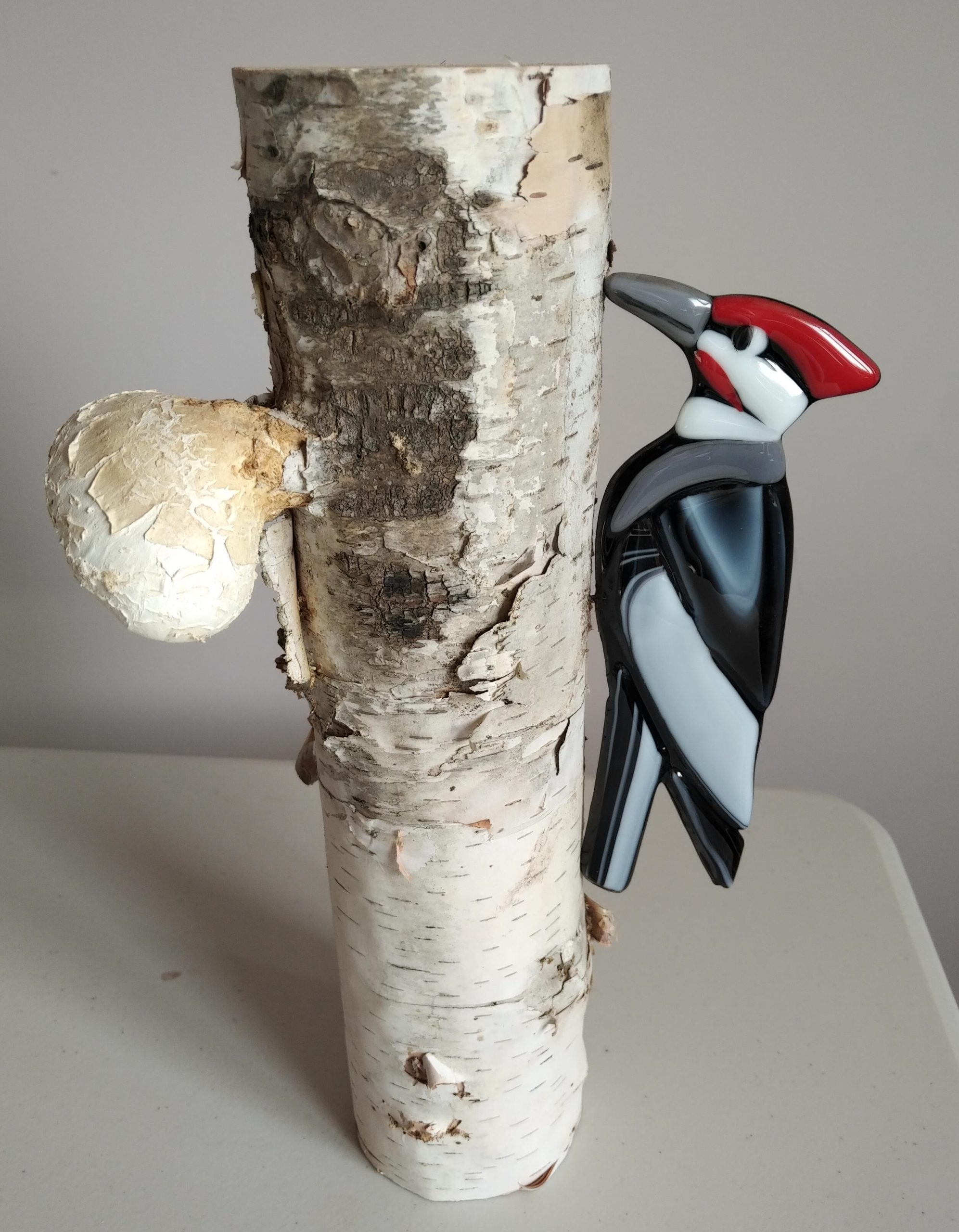 Woodpecker on Birch Tree – $89