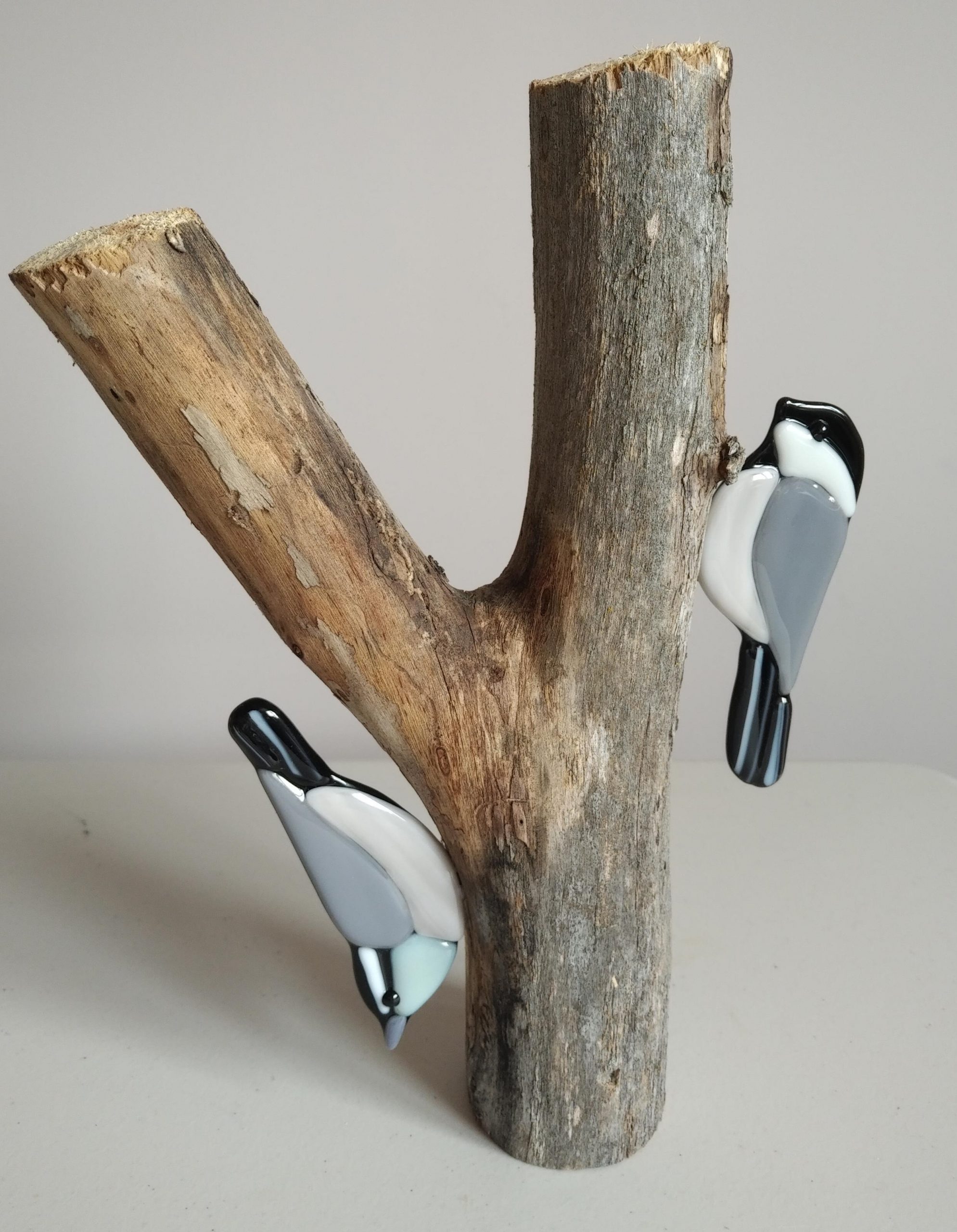 Nuthatch & Chicadee on an Elm Branch – $99