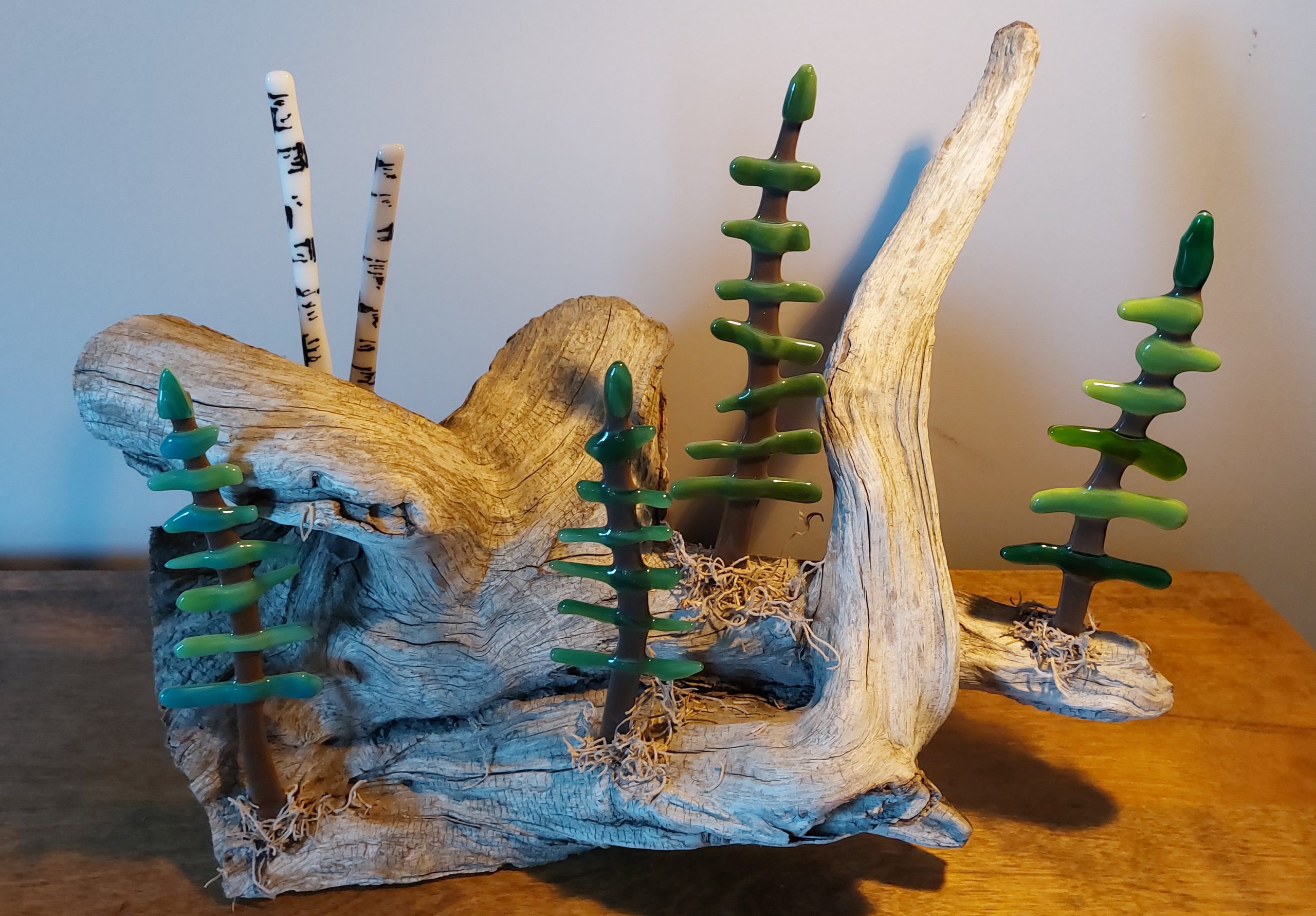 Pine & Birch Trees on Driftwood – SOLD